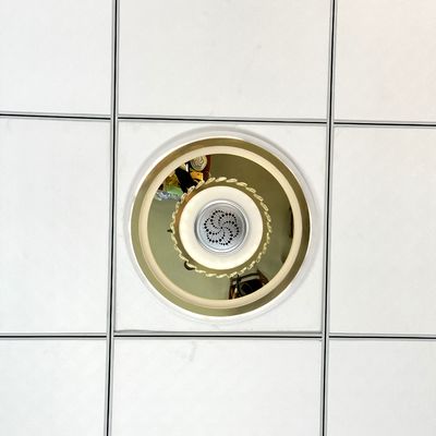 Modulo di ionizzazione DC12V per generatore di ioni negativi per lampada 8KV OEM