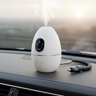 Buon prezzo 1H 3H 6H CONT Timing Umidificatore d'aria per auto 24V Dimensioni compatte Adatte per il posizionamento sul cruscotto per fornire umidità continua in linea